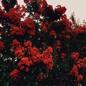 Meet your Posher, Raegan